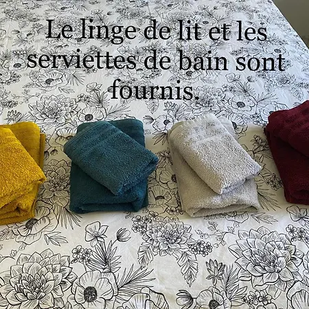 3 Pieces Climatise En Rez De Jardin Avec Piscine Villeneuve-Loubet